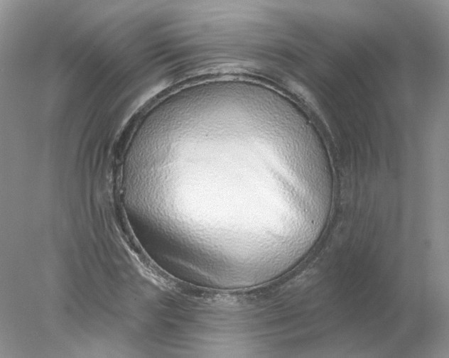 X0000078270827200611172028