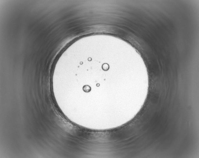 X0000078270836200611172028