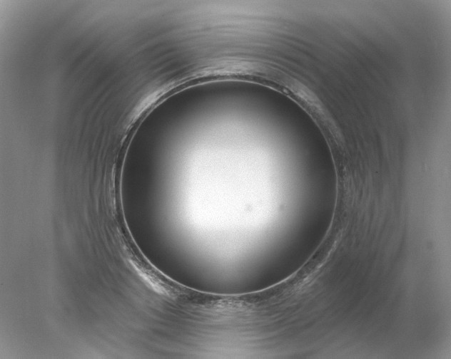 X0000078270842200611172028