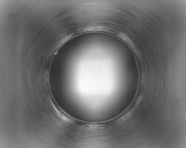 X0000078270849200611172029