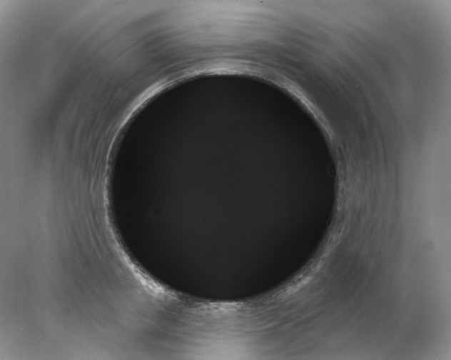 X0000078270853200611172029