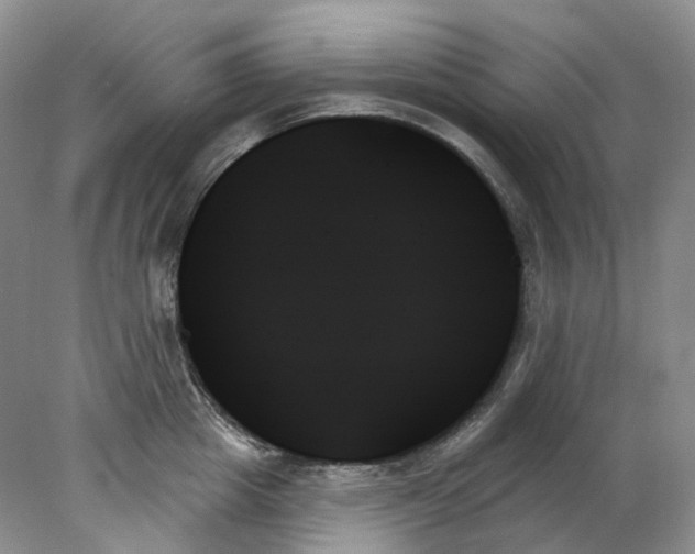 X0000078270857200611172029