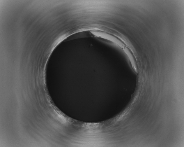 X0000078270858200611172029