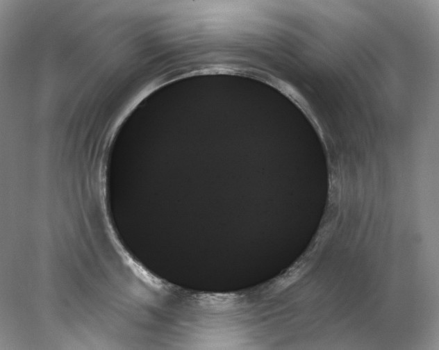 X0000078270859200611172029