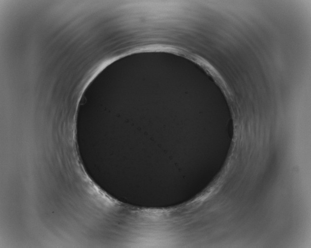 X0000078270860200611172029