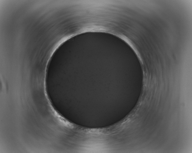 X0000078270861200611172029