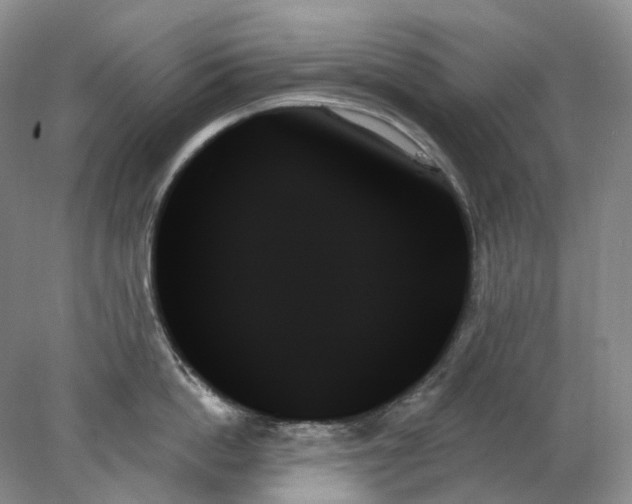 X0000078270862200611172029