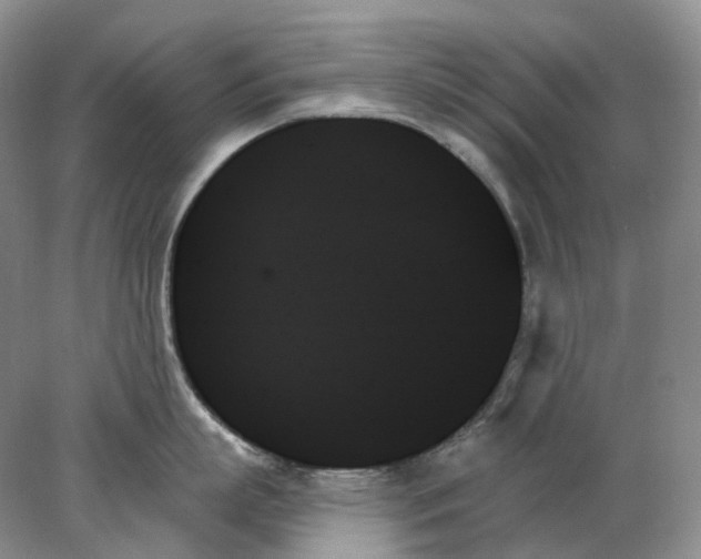 X0000078270863200611172029