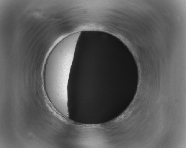 X0000078270864200611172029