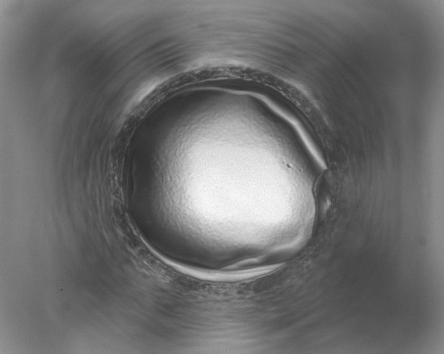 X0000078270871200611172028