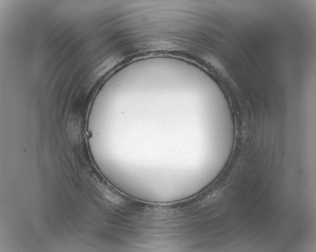 X0000078270873200611172028