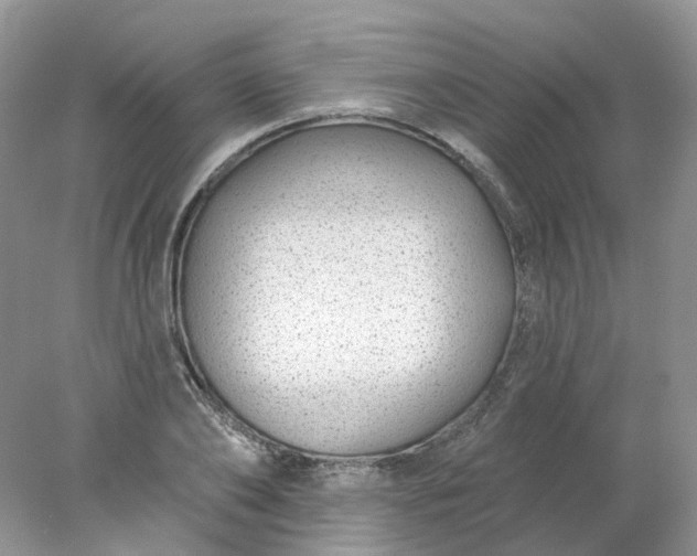 X0000078270886200611172028