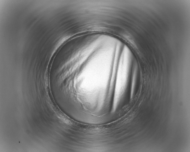 X0000078270891200611172028