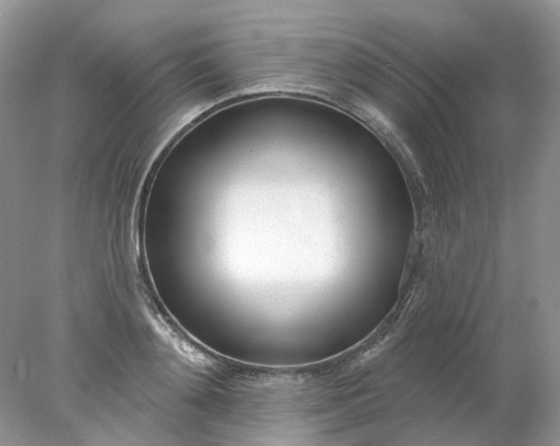 X0000078270892200611172028