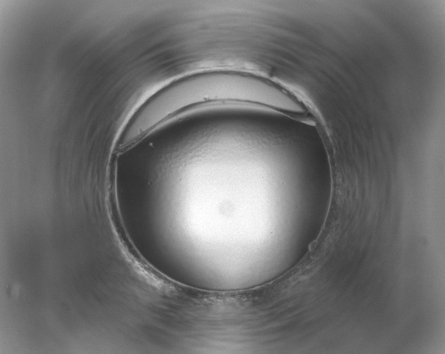 X0000078270895200611172027