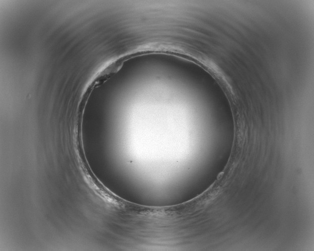 X0000078270896200611172027