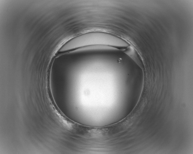 X0000078270898200611172027