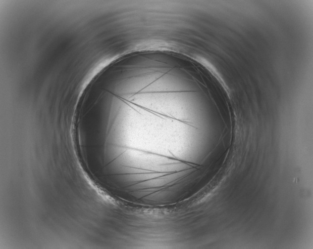 X0000078270901200611172027