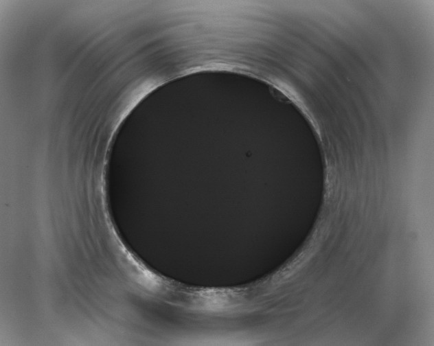 X0000078270906200611172027