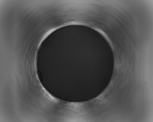 X0000078270910200611172027