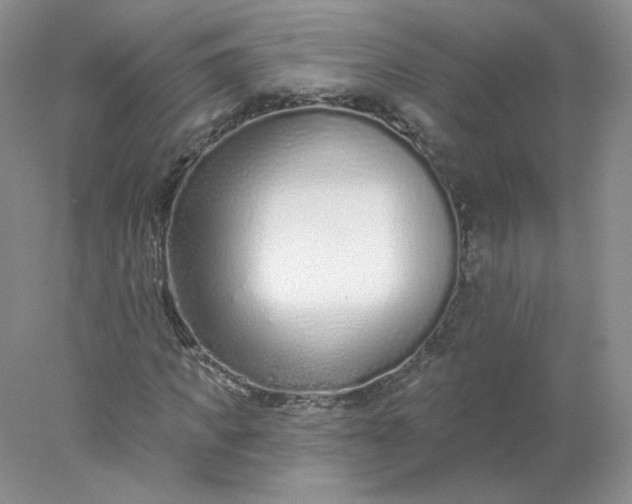 X0000078270917200611172026