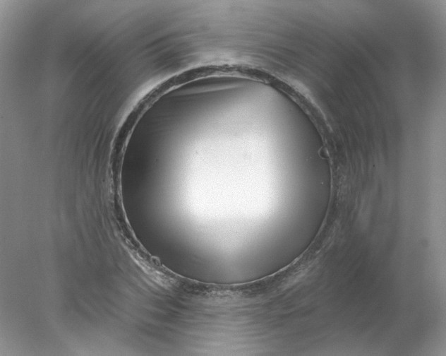 X0000078270927200611172027