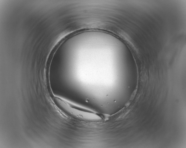 X0000078270932200611172027