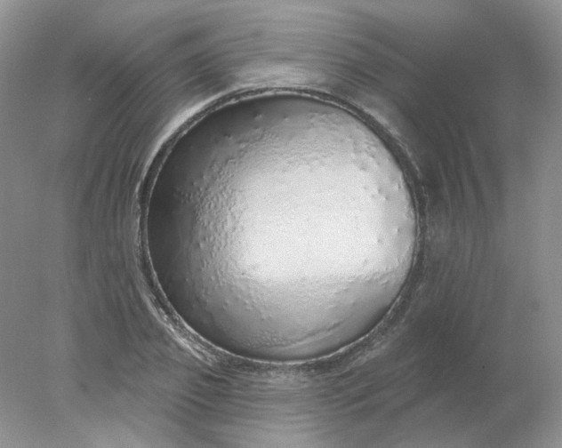 X0000078270933200611172027