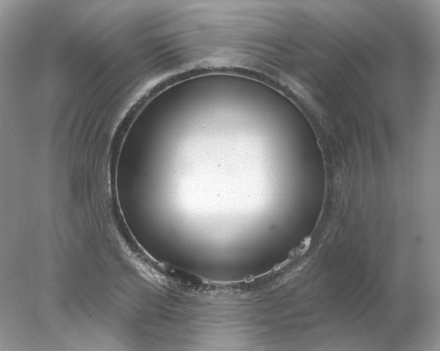 X0000078270934200611172027