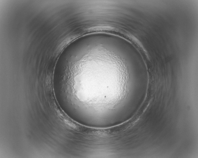 X0000078270937200611172027