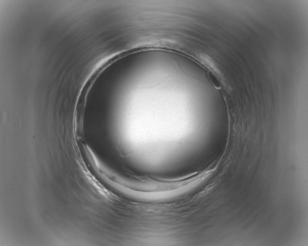 X0000078270940200611172027