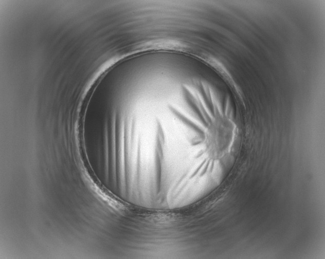 X0000078270947200611172027