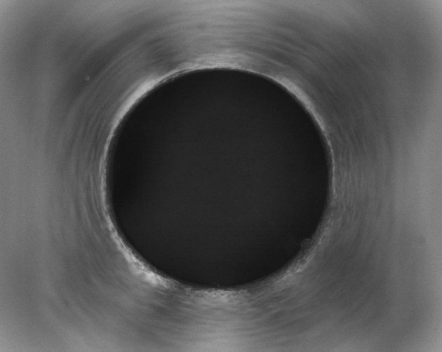 X0000078270949200611172027