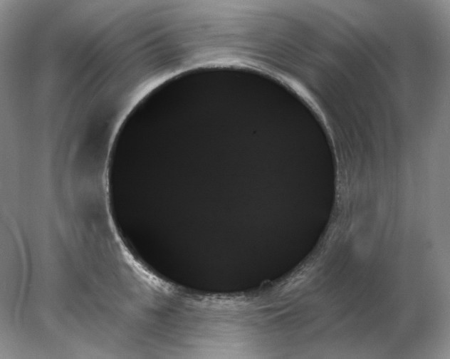 X0000078270951200611172027