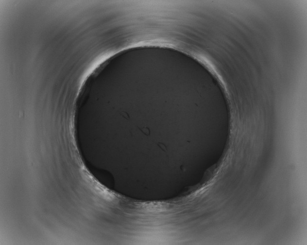 X0000078270952200611172027
