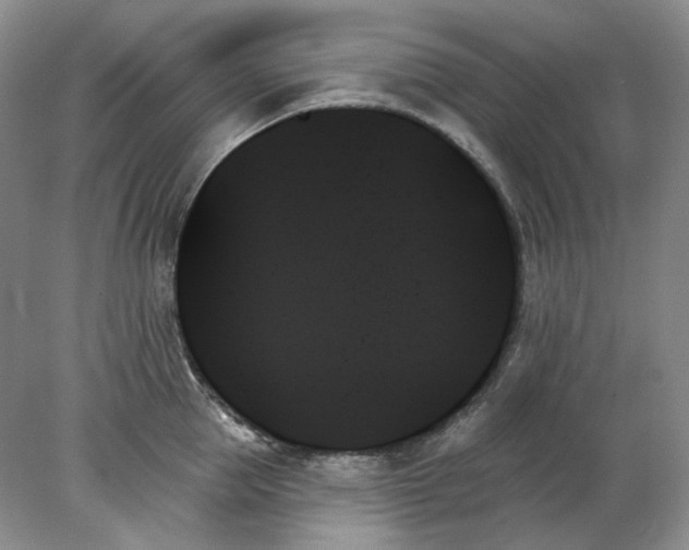 X0000078270953200611172027