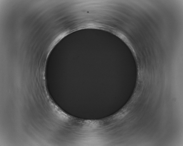 X0000078270954200611172027