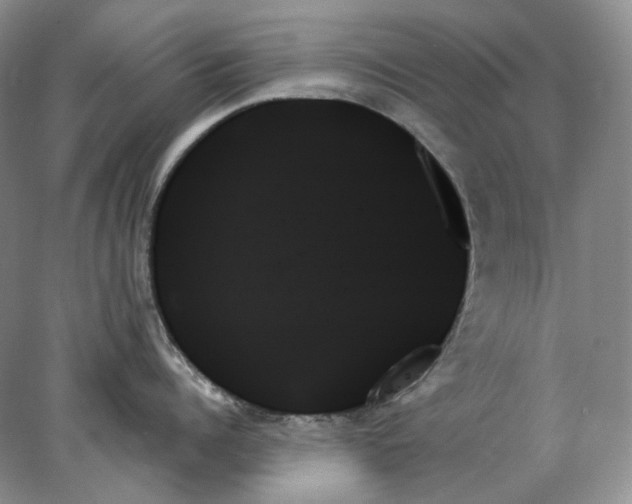 X0000078270960200611172027