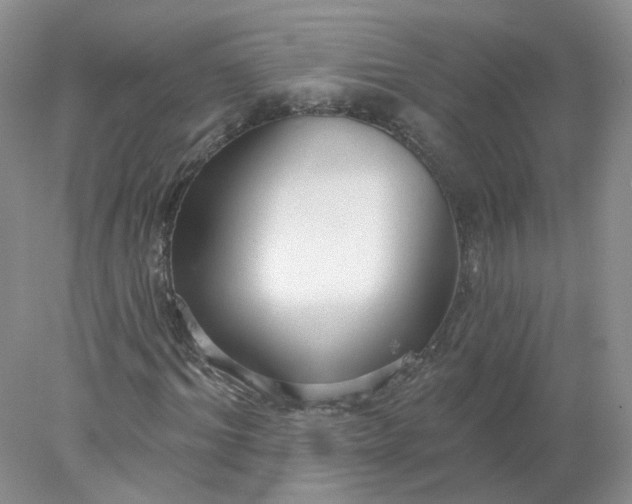 X0000078270964200611172026