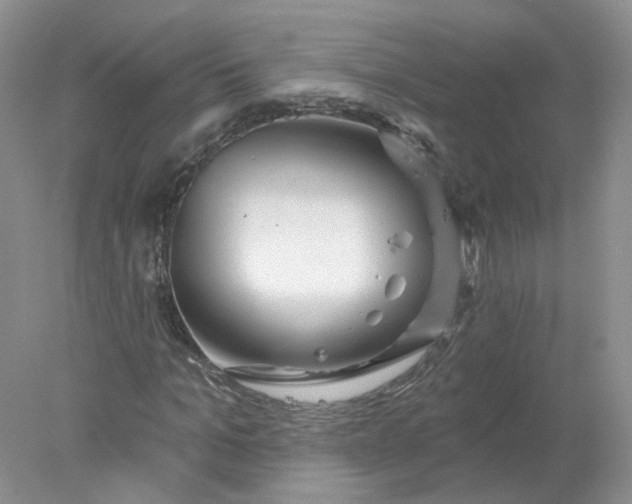 X0000078270965200611172026