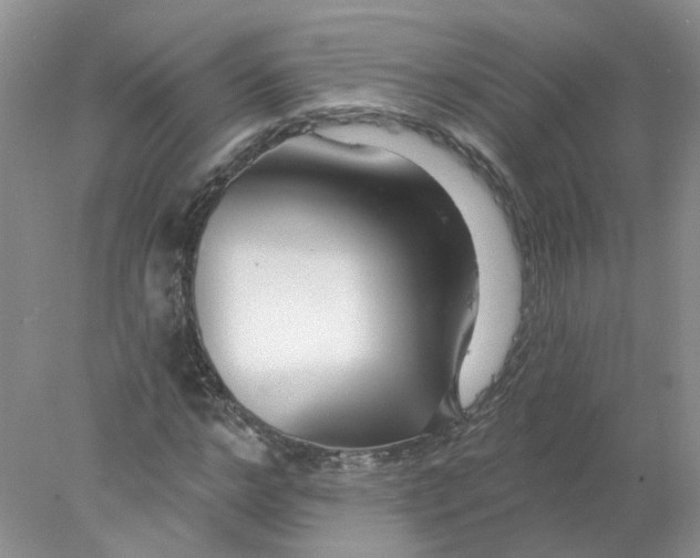 X0000078270968200611172026
