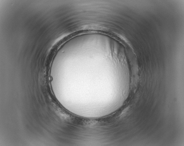 X0000078270971200611172026