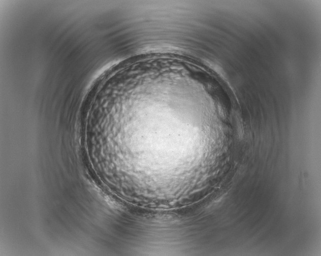 X0000078270979200611172026