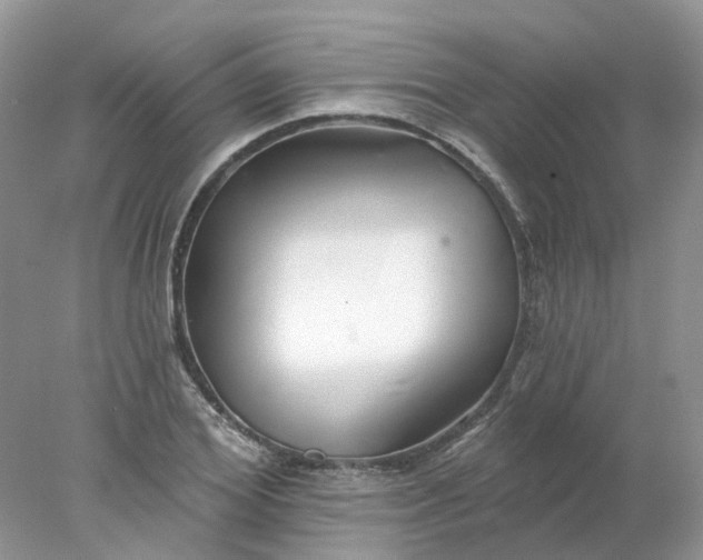 X0000078270980200611172026