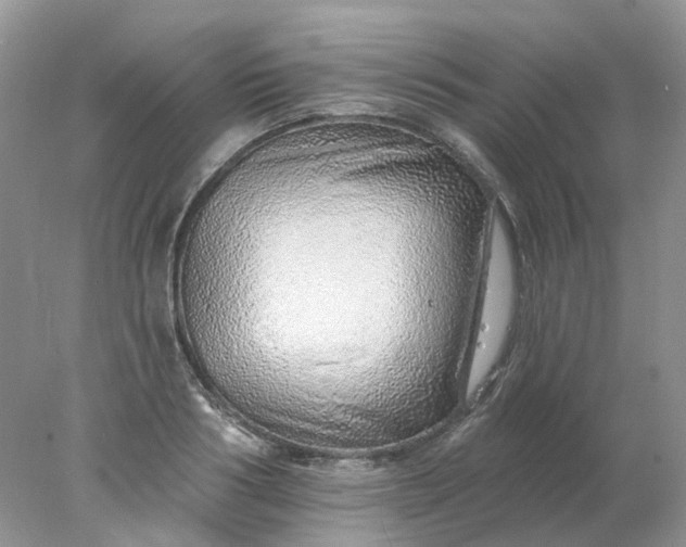 X0000078270986200611172026
