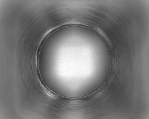 X0000078270988200611172026