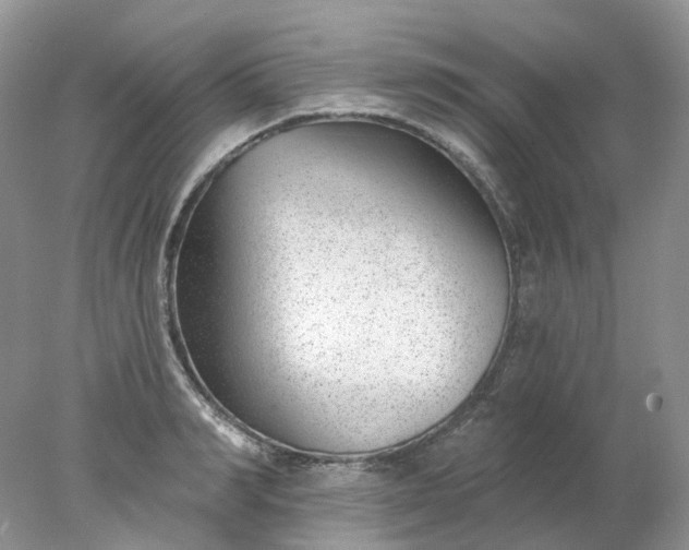 X0000078270990200611172026