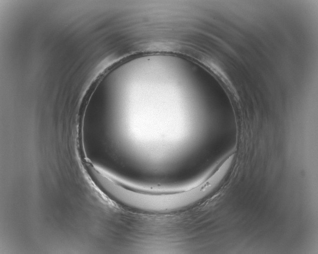 X0000078270992200611172026