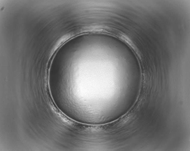 X0000078270994200611172026