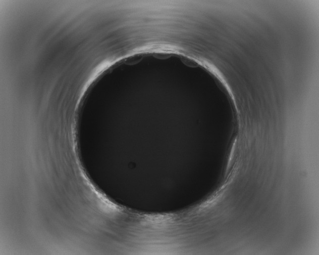 X0000078270997200611172026